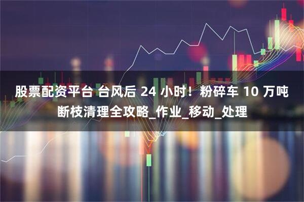 股票配资平台 台风后 24 小时！粉碎车 10 万吨断枝清理全攻略_作业_移动_处理