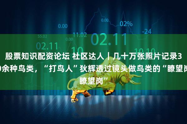 股票知识配资论坛 社区达人｜几十万张照片记录300余种鸟类，“打鸟人”狄辉透过镜头做鸟类的“瞭望岗”