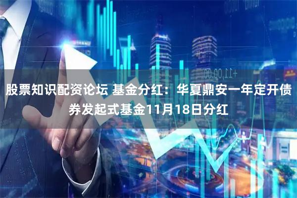股票知识配资论坛 基金分红：华夏鼎安一年定开债券发起式基金11月18日分红