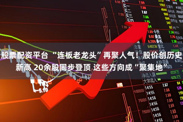 股票配资平台 “连板老龙头”再聚人气！股价创历史新高 20余股同步登顶 这些方向成“聚集地”